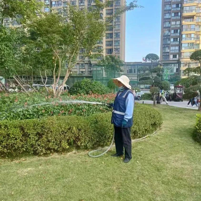 恒大贵州金碧物业 | 恒久如一 新春添新意