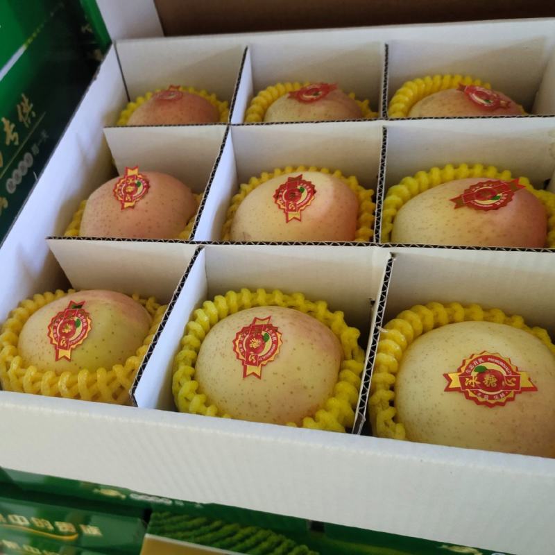 苹果现货(苹果现货库存)