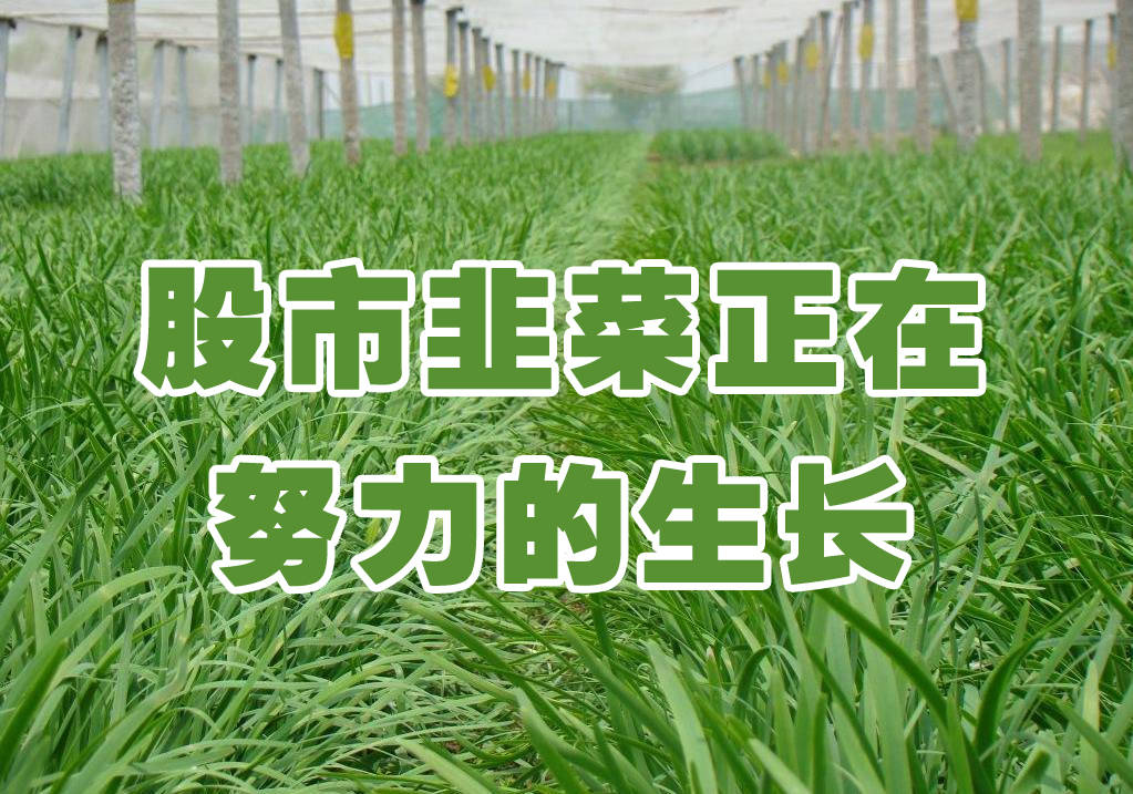 股票绿色(股票绿色是什么意思)