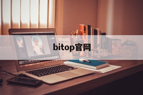 bitop官网(bitspirit 官网)